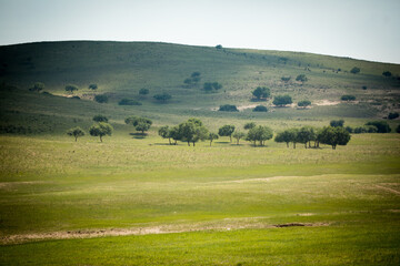 Hunshandake Sandy Land in Inner Mongolia, China