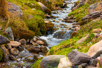 Close-up of a small, clear stream with fresh water running over rocks covered in moss and surrounded by green grass.
