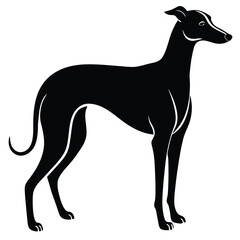 whippet vector sihouette