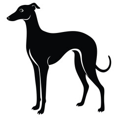 whippet vector sihouette