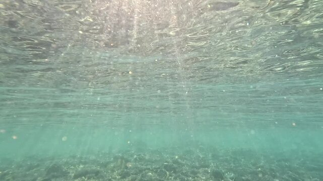 Underwater cinematography of solar rays penetrating the sea surface, illuminating suspended particles in the photic zone