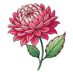 chrysanthemum flower vector 