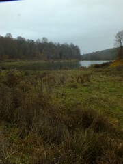 Yenice Forests are located in the northwest of Turkey.