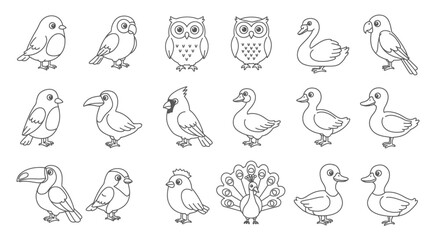 Cute Baby Bird Line Drawings for Kids - Coloring Pages and Educational
