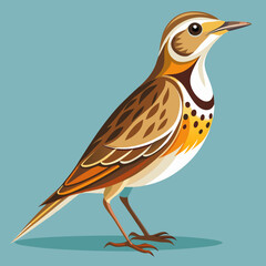 bird on a branch