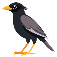 vector illustration of a bird