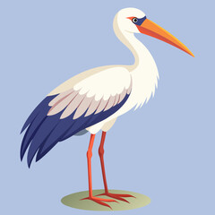 yellow billed stork