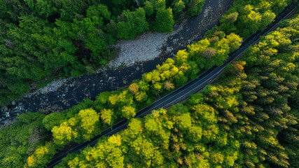Fresh Spring Deep Forest with Mountain River and Asphalt Road. Beautiful Lush Vegetation with Sunset Light. Aerial View.
