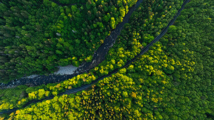 Fresh Spring Deep Forest with Mountain River and Asphalt Road. Beautiful Lush Vegetation with Sunset Light. Aerial View.
