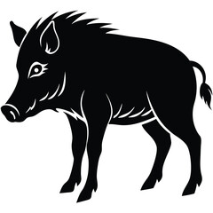 WILD BOAR VECTOR