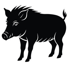 WILD BOAR VECTOR