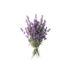 Naklejka premium Stunning Lavender Bouquet: A Floral Delight isolated on white background
