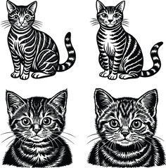 Cat silhouette vector illustration., Black Cat Set
Cat walk animation. Domestic animal silhouette. Walking black kitten with yellow eyes. Side view of moving pet. Isolated sprite of cartoon kitty, an
