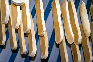 Traditional cheese and food from mongolia
