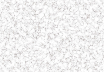 High-Detail White Marble Texture with Dense Veins