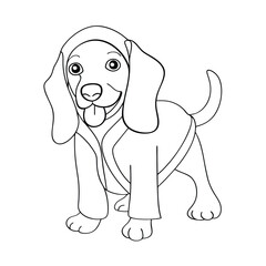 Adorable beagle puppy in robe line art illustration