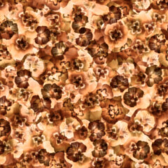 The geometric pattern . Seamless background.