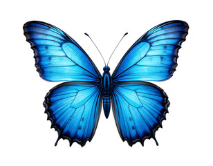 Fototapeta premium Elegant blue butterfly mid-flight, transparent.