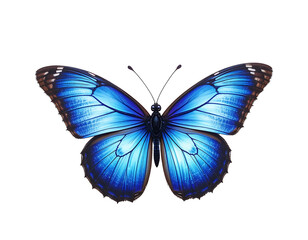 Blue butterfly with open wings, flying, isolated background.
