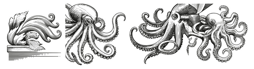 Vintage Illustrations of Octopus with Artistic Flourishes and Details, Logo Design, Hand drawing Engraving, Vector Illustration Isolated Object