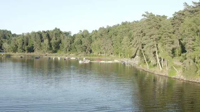 Aerial view of tranquil lake shoreline with moored boats and dense forest under clear sky, Marcillac La Croisille, France