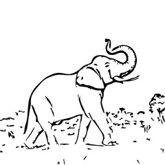 elephant in the park vector