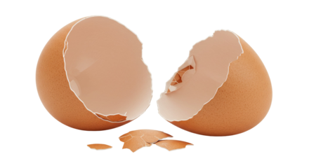 Cracked eggshell halves on a black background