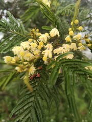 bouquet of yellow flowers