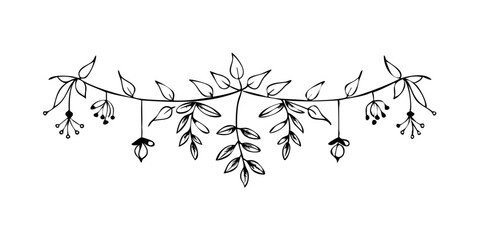 Obraz premium Botanical line art divider featuring eucalyptus and floral elements 