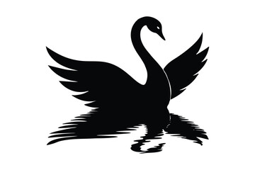 black swan vector illustration