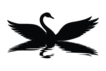 black swan vector illustration