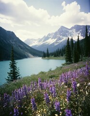 different fictional nature landscapes