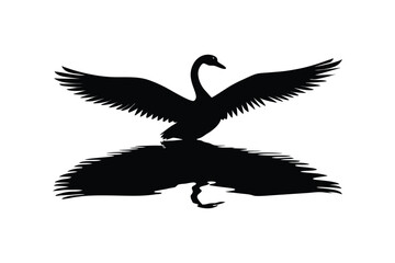 Obraz premium black swan vector