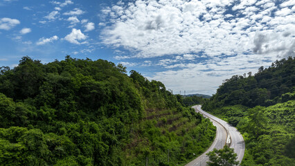 Green road in forest. Green tree nature background for carbon neutrality and net zero emissions concept. Drone view of green tree captures CO2 to Sustainable green environment.