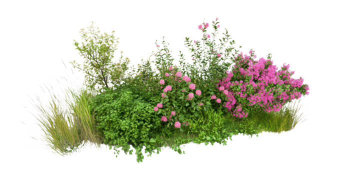 PNG Group of different bushes flowers plants green.