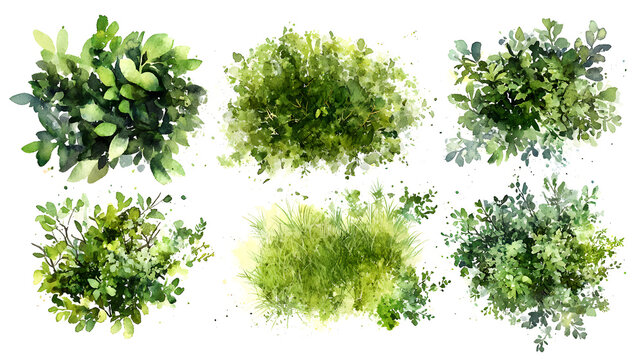 green grass isolated on white background, Set of watercolor tree top view for landscape plan and architecture layout.