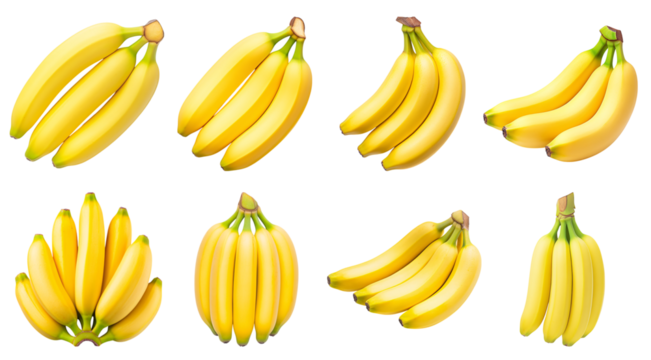 Collection of various a bunch of ripe yellow bananas with green tips arranged neatly isolated on white transparent background PNG set