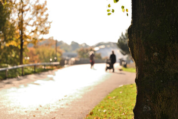 Obraz premium park sunny day pedestrian bridge background