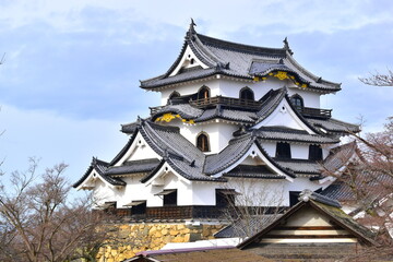 Fototapeta premium 滋賀 城 彦根城