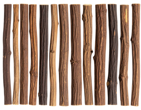 Top View of Licorice Root Pieces in Minimalist Parallel Lines, isolated on a transparent background
