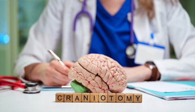 A skilled medical professional reviews a brain model while discussing complex craniotomy procedures
