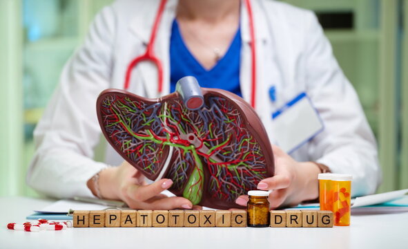 A medical professional analyzes hepatotoxic drugs with a lung model to effectively educate on liver health