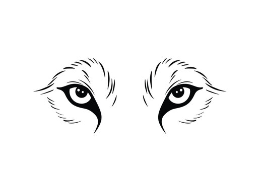 Wolf eyes drawing. This image focuses on wolf eyes, a captivating and intense depiction of the wild canine's gaze, showcasing depth and emotion. Vector sketch line art draw.