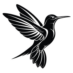 Fototapeta premium black and white bird