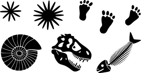 A simple, impactful graphic showcasing various prehistoric fossils including a spiral ammonite shell, dinosaur skull, fish skeleton, and animal footprints, ideal for educational materials, nature-them © SWEET