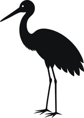 Obraz premium black crowned crane