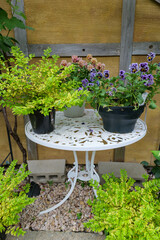 様々な花が咲く初夏のガーデニング