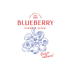 Logo design over hand drawn blueberry branch. Vector illustration in vintage style.