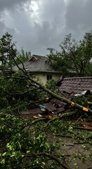 Storm Damage: House and Trees Destroyed by Severe Weather