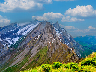 Majestic mountain range with snow-capped peaks and lush green meadows under a clear blue sky in summer